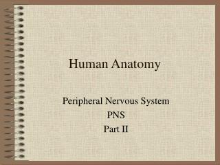 Human Anatomy