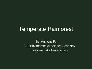 Temperate Rainforest