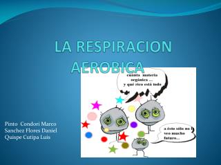 LA RESPIRACION AEROBICA