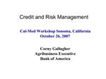 Credit and Risk Management