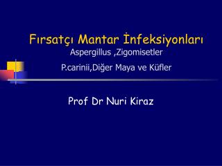 Fırsatçı Mantar İnfeksiyonları Aspergillus ,Zigomisetler Prinii,Diğer Maya ve Küfler