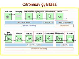 Citromsav gyártása