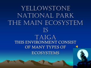 YELLOWSTONE NATIONAL PARK THE MAIN ECOSYSTEM IS TAIGA