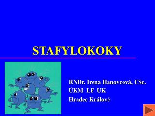 STAFYLOKOKY