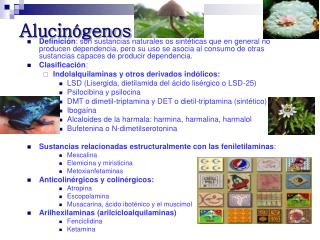 Alucinógenos