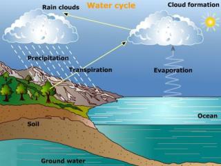 The Water Cycle