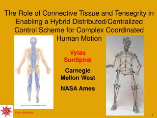 Vytas SunSpiral Carnegie Mellon West NASA Ames