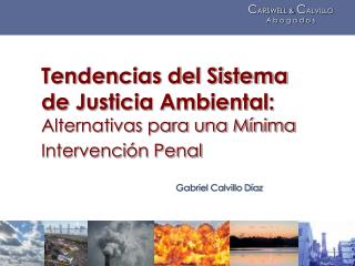 Tendencias del Sistema de Justicia Ambiental: Alternativas para una Mínima Intervención Penal