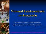 Visceral Leishmaniasis in Ara atuba