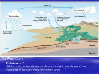 The Water Cycle