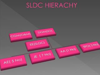 SLDC HIERACHY