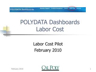 POLYDATA Dashboards Labor Cost