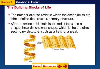 Chemistry in Biology