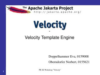 - Velocity Template Engine