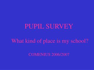 PUPIL SURVEY What kind of place is my school? COMENIUS 2006/2007