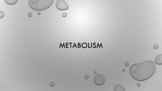 Metabolism