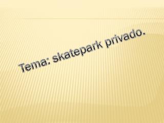 Tema: skatepark privado.