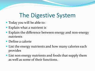 The Digestive System