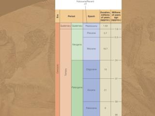 Oxygen Isotopes Pollen and spores Micropaleontology- shifts in biozones Tree rings