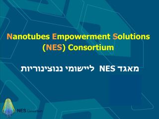 N anotubes E mpowerment S olutions ( NES ) Consortium