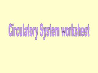 Circulatory System worksheet