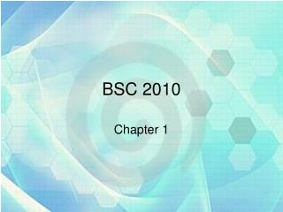 BSC 2010