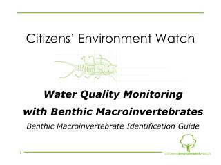 Citizens’ Environment Watch
