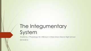 The Integumentary System