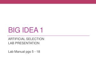 BIG IDEA 1