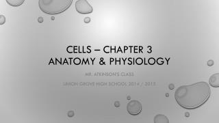 Cells – Chapter 3 Anatomy &amp; Physiology