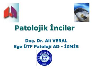 Patolojik İnciler