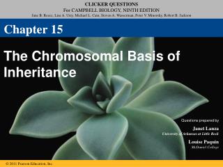 The Chromosomal Basis of Inheritance