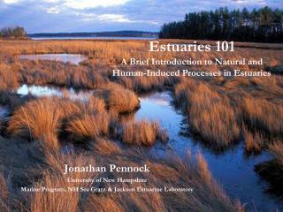 Estuaries 101 A Brief Introduction to Natural and Human-Induced Processes in Estuaries