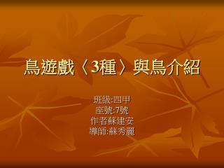 鳥遊戲 〈3 種 〉 與鳥介紹