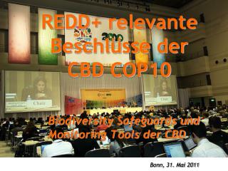 REDD+ relevante Beschlüsse der CBD COP10