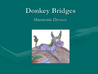 Donkey Bridges