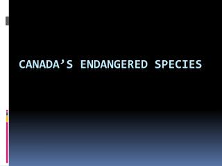 Canada’s Endangered Species