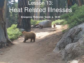 Lesson 13: Heat Related Illnesses Emergency Reference Guide p. 59-64