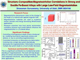 Research Focus