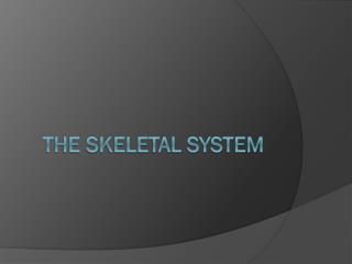 The Skeletal System