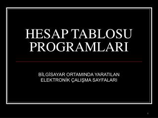 HESAP TABLOSU PROGRAMLARI