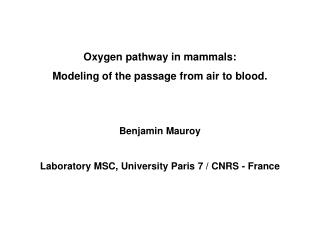 Oxygen pathway in mammals: Modeling of the passage from air to blood. Benjamin Mauroy
