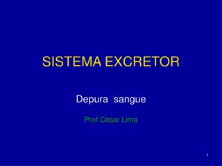 SISTEMA EXCRETOR