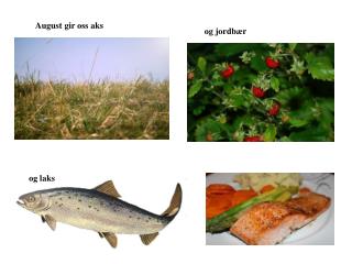 og jordbær