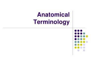 Anatomical Terminology