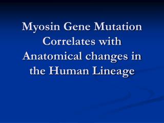 Myosin Gene Mutation Correlates with Anatomical changes in the Human Lineage