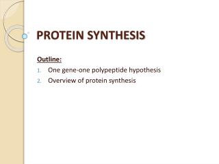 PROTEIN SYNTHESIS