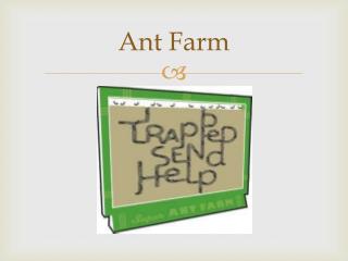 Ant Farm