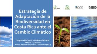 Estrategia de Adaptación de la Biodiversidad en Costa Rica ante el Cambio Climático