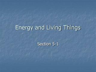 Energy and Living Things